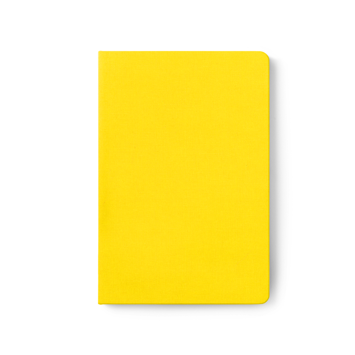 Canvas Lemon-1