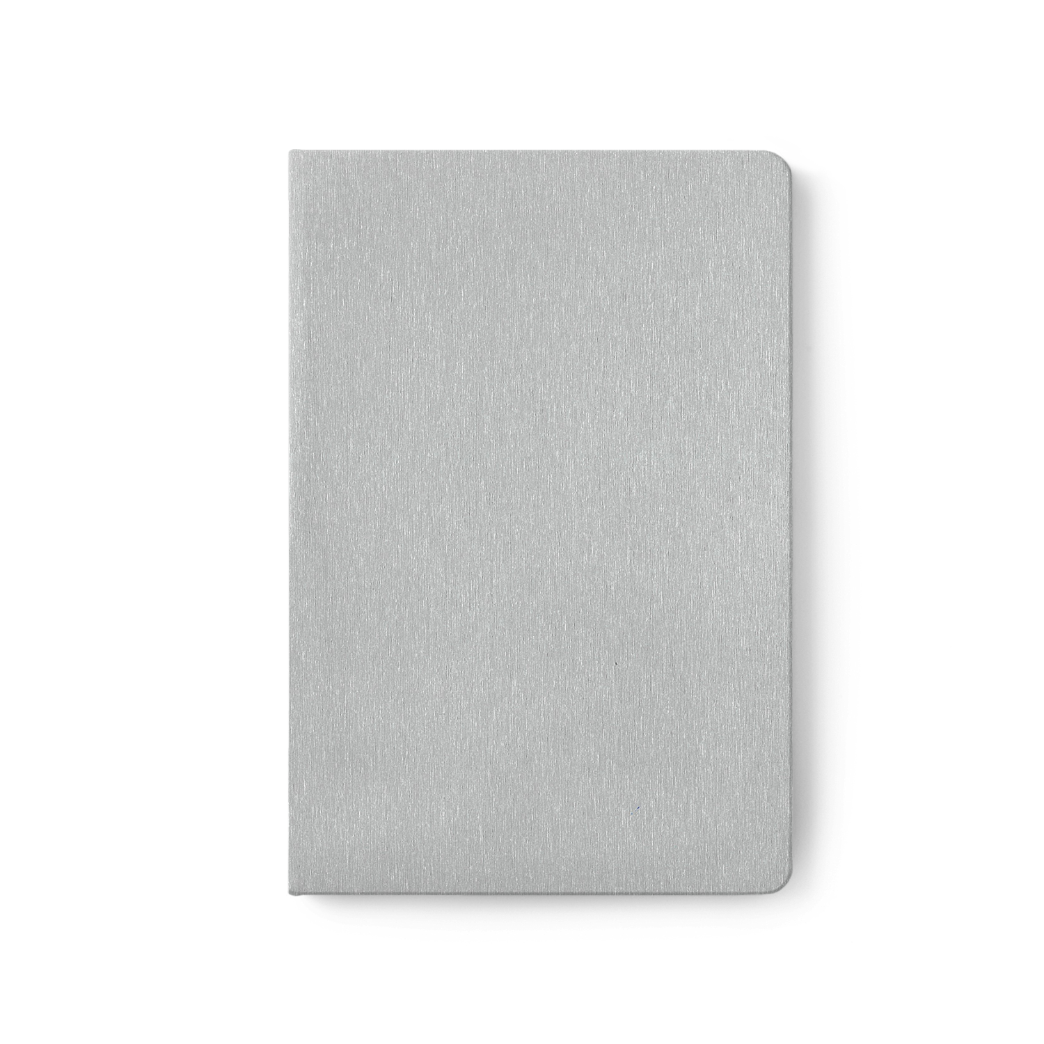Tate Silver-1