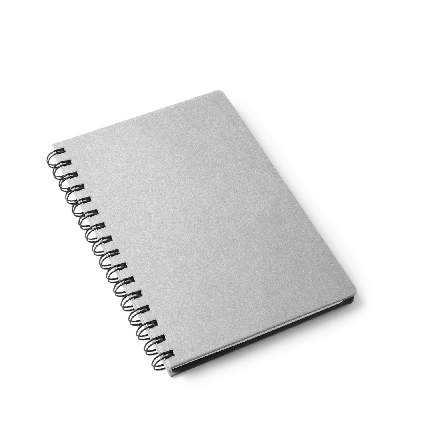 Cameleon Silver-1