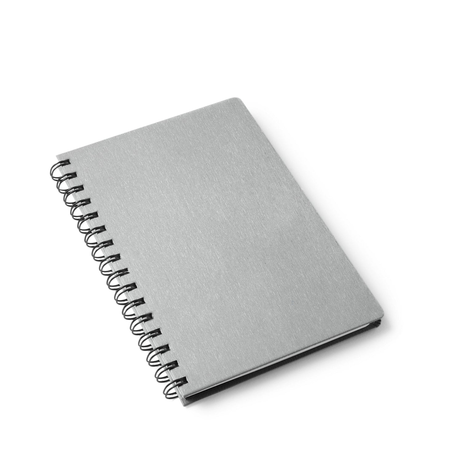 Tate Silver-1