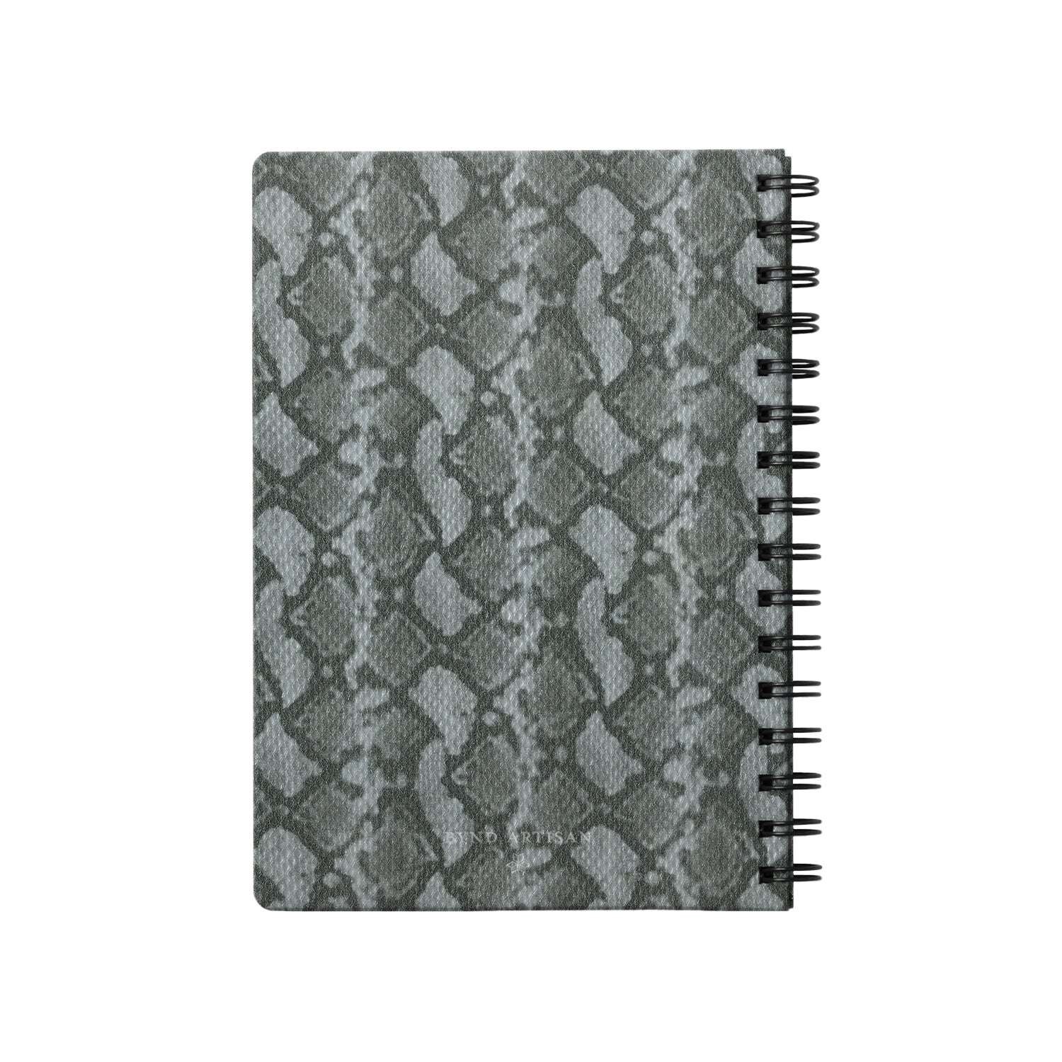 Python Silver-1