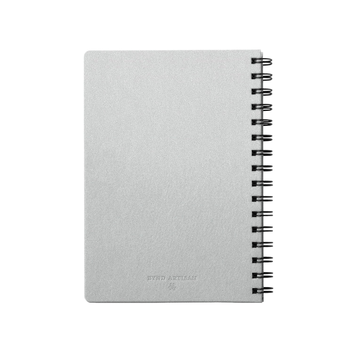 Cameleon Silver-1