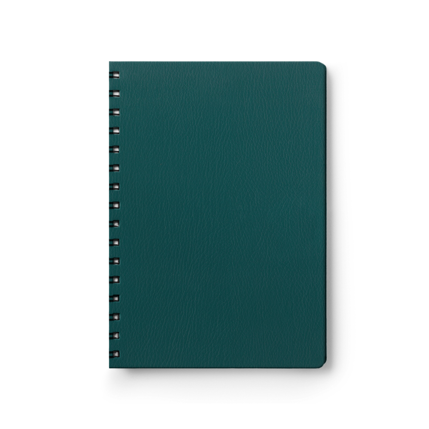 Naturale Turquoise-1