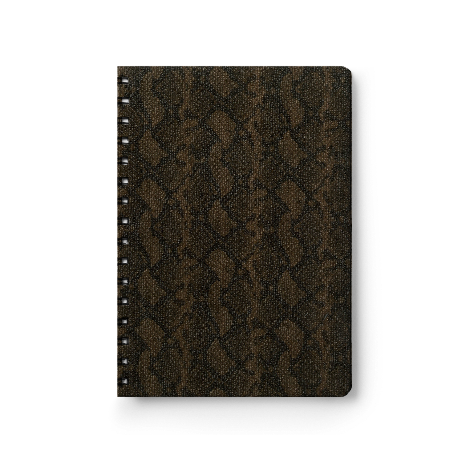 Python Bronze-1