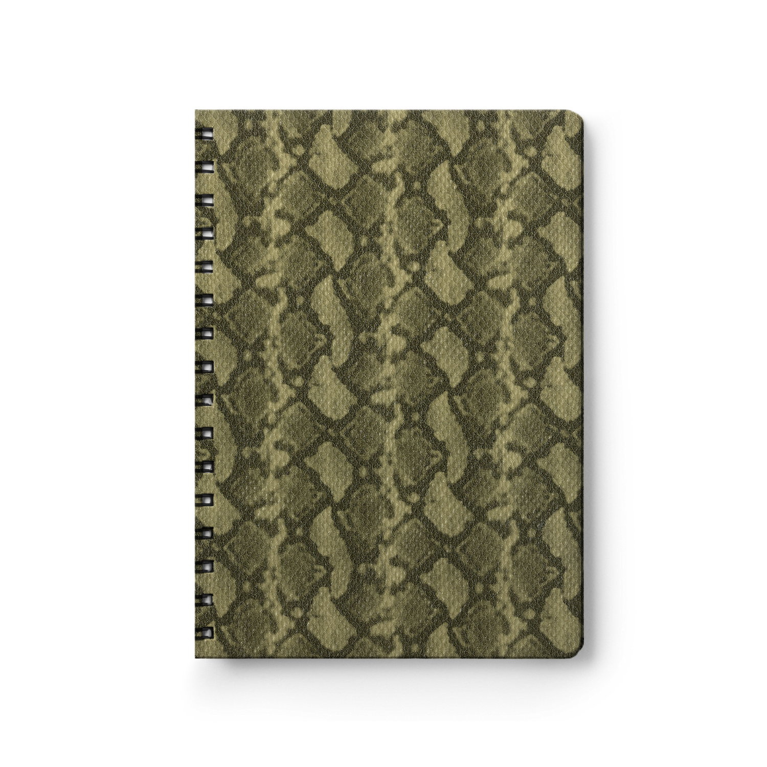 Python Gold-1