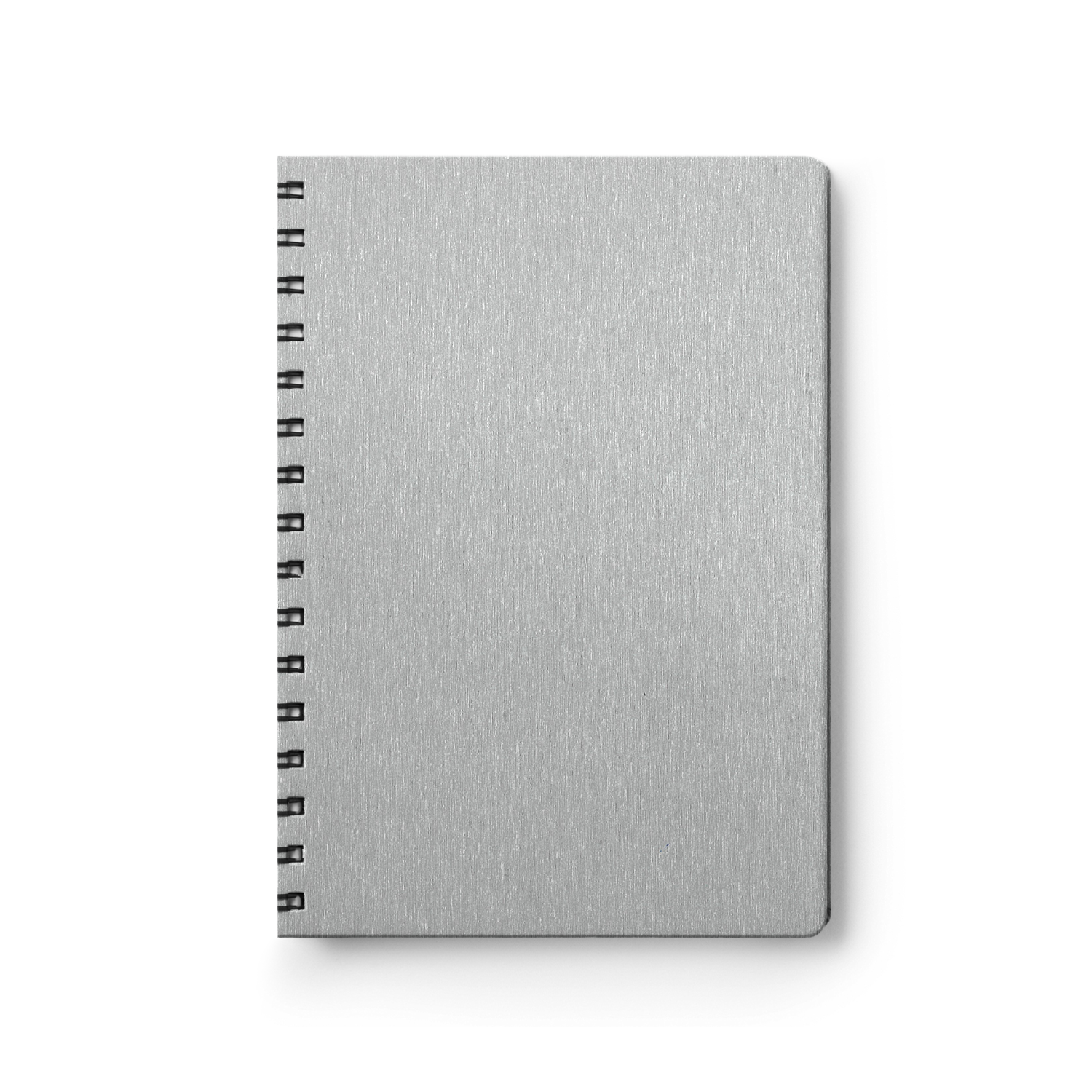 Tate Silver-1