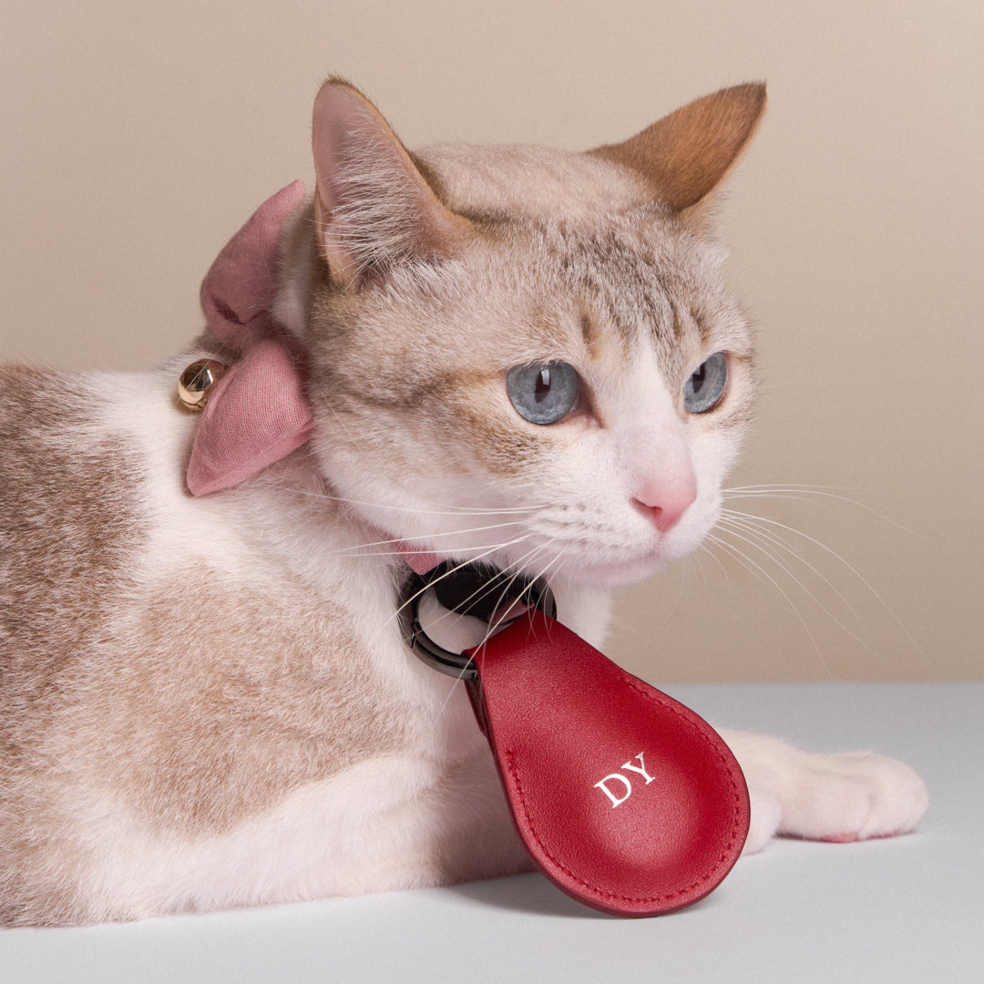 main_image