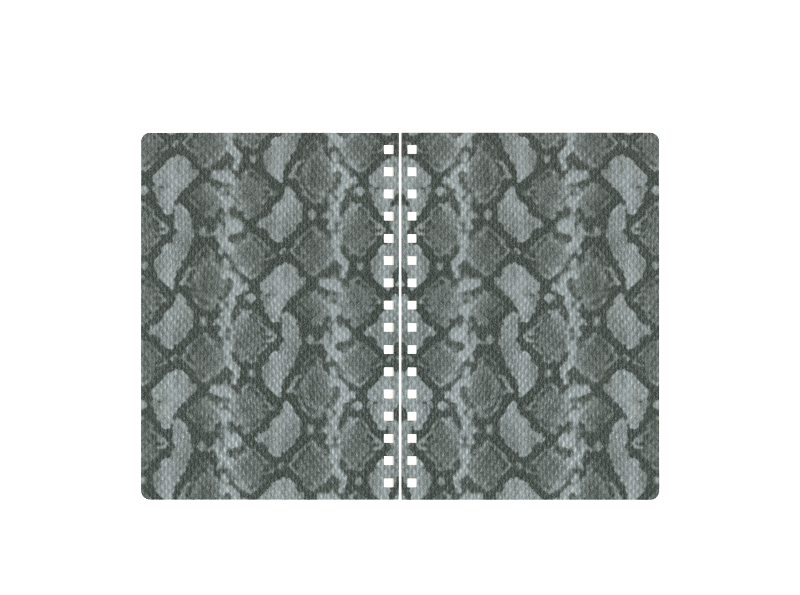Python Silver-2